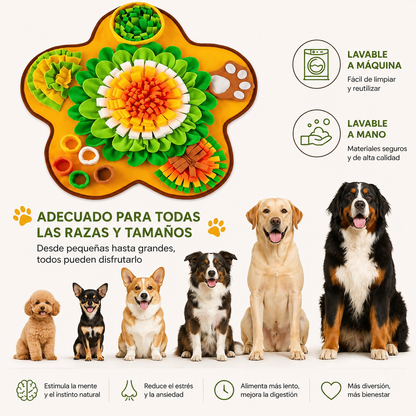 Alfombra OIfativa Interactiva y Estimulante